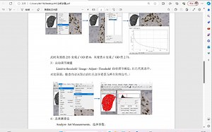 免疫组织化学IHC结果ImageJ分析 胰岛