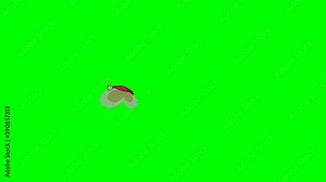 Flying butterfly animation. Flapping wing butter fly flying in line. Transparent wing cartoon character. Flying insects, zig zag. Curved route. Outdoor, clear, green screen background. 4K video clip