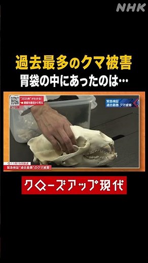 過去最多のクマ被害 駆除したクマの胃の中には【クロ現】| NHK | #shorts