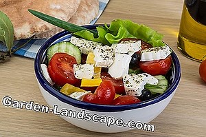 Lifestyle: Acid-Base Balance: These Fruits And Vegetables Balance - My Beautiful Garden | 2025