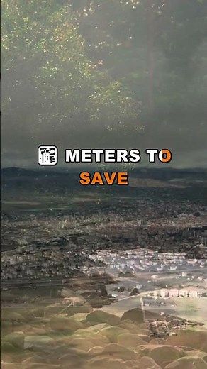 Cities Are Becoming Wild Again