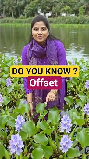 Water hyacinth🍃 Eichhornia crassipes | Do you know ? #ncert #neetbotany