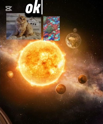 cat destroying the earth