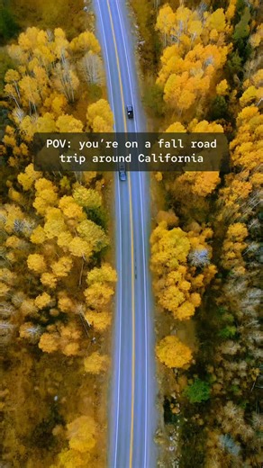 Are you ready for fall? 😍 California has such beautiful fall colors that not many know about! 📍 In this video (in the order of the clips including repeated locations): Hope Valley North Lake, Bishop Rainbow Falls trail North Lake, Bishop CA-41 near Yosemite Yosemite Valley View June Lake Loop Lake Sabrina Desolation Hotel Hope Valley Hope Valley . . . . fall in California, travel blogger Asya Olson, Mammoth Lakes, Eastern Sierra, Highway 395, California road trip, autumn in California | Asya -