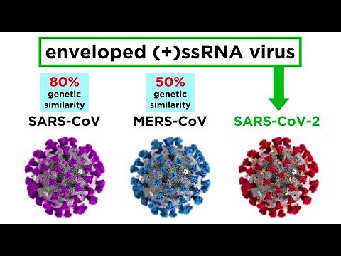 MERS-CoV and SARS-CoV-2 (COVID-19)