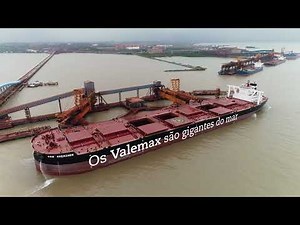 VALEMAX - Vale