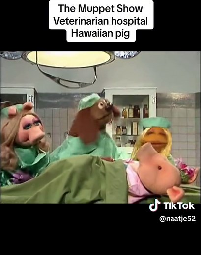 Muppets Veterinarians Hospital: A Hawaiian Adventure