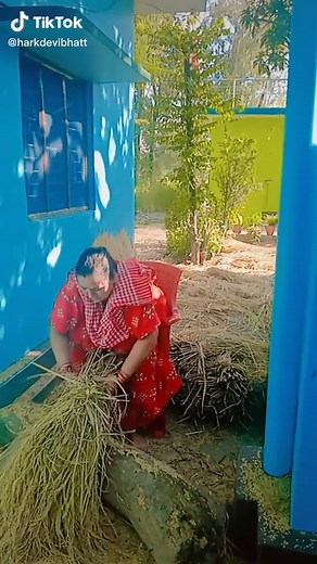 Traditional Rice Winnowing Technique in Rural Setting