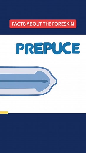 Understanding Foreskin: Circumcision Facts You Should Know