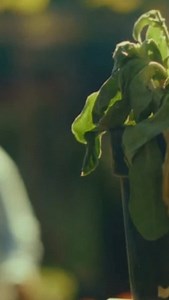 Y con el tiempo me dará una flor. "La Semilla" - Reno871 - PRAGMA #rapmexicano #losluna #pragma #raplatino #hiphop | Reno Luna