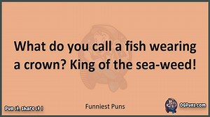 Funniest - Jokes, Puns, Wordplays, and Laughter