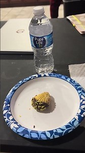 Here's Myself Eating a Chocolate Covered Cookie For Dessert Tonight, Everyone!