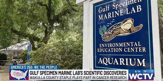 ‘The fabric of life:’ How the Gulf Specimen Marine Lab has fueled decades of discovery