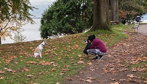 6 Tips on How to Take Great Photos of a Dog