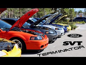 The Best Terminator (03-04 Cobra) Meet that I've ever seen..