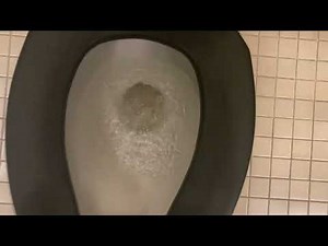 4,256. JCPenney Men’s Restroom