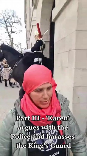London Horse Guards Parade Blues and Royals Guard Encounter