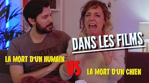 La mort d'un humain VS La mort d'un chat
