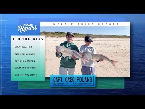 Feb. 19: Local 10 Fishing Report