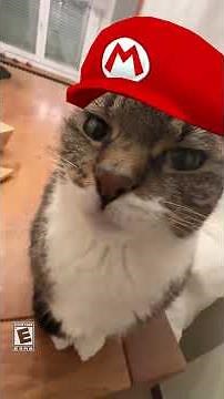 HOW TO TRANSFER DATA to the NINTENDO SWITCH 2 from the OLED Switch (Tutorial and Fail) 🎮