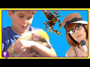ANIMAL PLANET Adventure COMPILATION w/HobbyBobby and Animals HobbyKidsTV