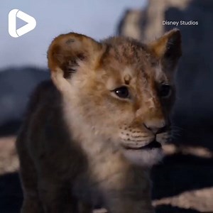 138K views · 2.2K reactions | In 100 days, the King returns! Disney just released the brand new trailer for Lion King! 女 | IGV | Facebook