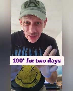 How to Process Black Walnuts #foraging #harvest #food #howto