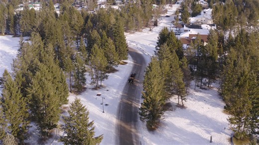 Picture this: Riding through Radium’s snowy streets in a cozy horse drawn sleigh, wrapped in blankets, surrounded by winter magic and the soft jingle of bells. ❄️✨ Village Sleigh Rides start today until December 29. Call (250) 347-9331 to book your spot. | Tourism Radium Hot Springs