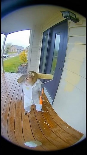 Monkey Tried Painting — Porch Didn’t Survive 💀🐵 #funnymonkeys #funny #monkeychallenge #porchdrama