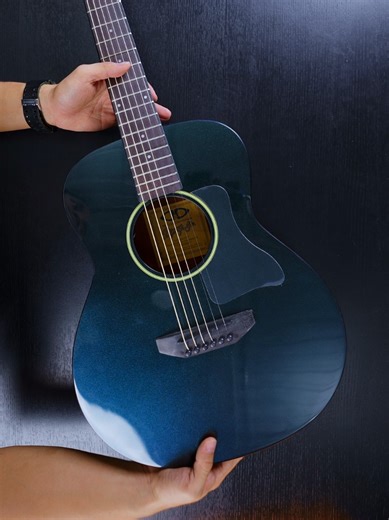 Discover the D&D Django Jr. Chameleon Acoustic Guitar