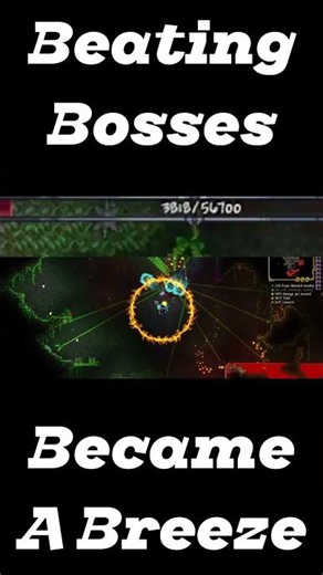 I beat Duke Fishron BEFORE the MECHS on my FIRST Playthrough of Terraria!