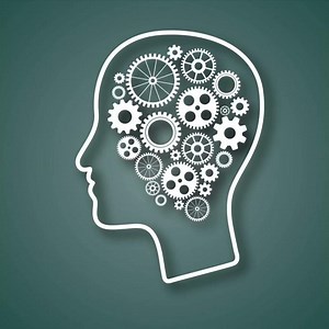 Unlocking the Secrets of Middle Childhood: What Every Parent Should Know!