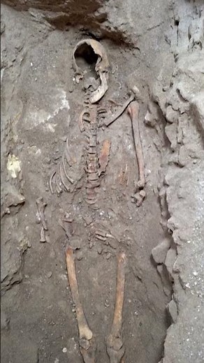 Archaeologists may have found d’Artagnan’s remains 350 yrs after legendary musketeer’s death #shorts