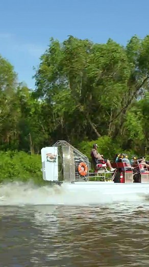 Discover New Orleans' Wild Side with Airboat Tours