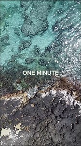 35K views · 1K reactions | Tiny steps. Stay Consistent. You can do it. ✅Reply back “yes” if you would like a link to our fitness program that will change your life starting with less than 1 minute per day. Wendy xo #habit #breakinghabits #healthyhabits #mentalhealth #habithack #simpleexercise #beginnersexercise #exercisechallenge #fitness #fitnesschallenge #athomeexercise | Under1minute | Facebook