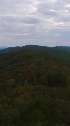 Come visit us at Selah Ridge #blueridgemountains #airbnbhost #treehouse #vacations #georgiagetaway