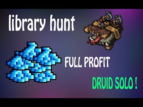 Hunt Bookstore / Druid Solo / Full Profit