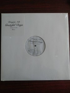 Dragon Ash Featuring ACO, Zeebra - Grateful Days