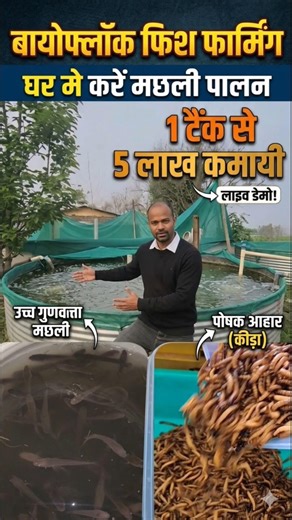 How to start fish farming | business ideas 2026 | Biofloc fish farming #shorts #farming #fishing