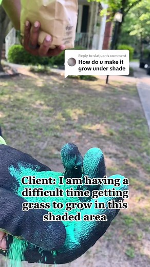 Shaded Area Lawn Care: Grow Grass Like a Pro!