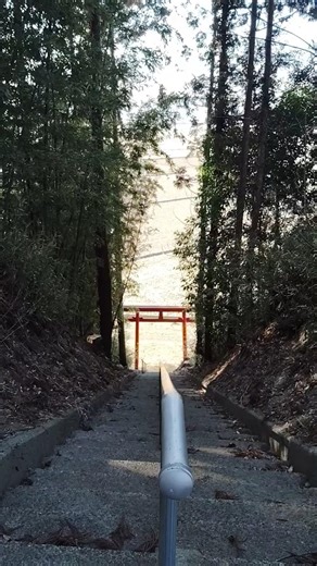 宮城県登米市南方町「薬師如来」