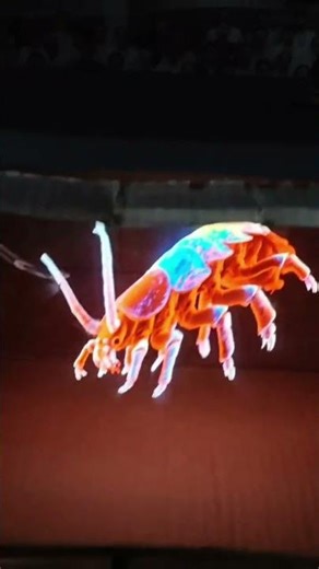 “3D Hologram Projection – Future in Front of Your Eyes”