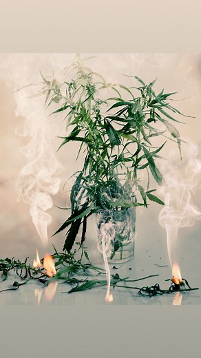 Unwind the natural way 🌿✨ Discover the rich aroma and smooth experience of CBD hash from Leaf O’Clock — pure relaxation, no compromise. #CBDLife #LeafOClock #HashVibes | Leaf O'clock