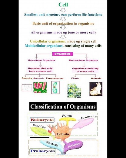 Fundamental of Cell Theory #geneticteacher