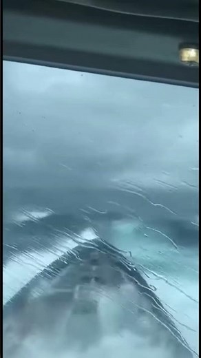 Wild Ocean Adventure Caught on Camera!