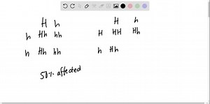 Classify the condition as (a) autosomal dominant or (b) autosomal recessive. osteogenesis imperfecta | Numerade