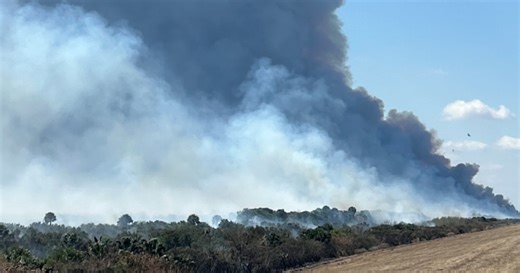 Fire spreads to 8,600 acres at Lake Okeechobee amid extreme drought conditions