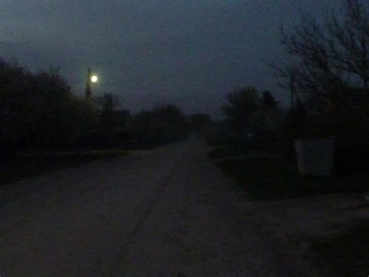 Understanding DSBM: A Melancholic Way of Life