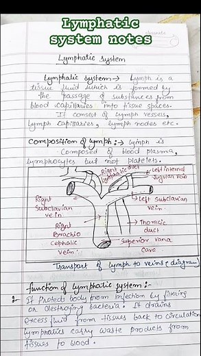 Lymphatic system definition and diagram notes #lymphsystem human anatomy and physiology HAP