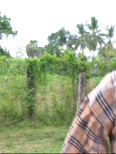 លះបង់ដើម្បីគ្រួសារ ភាគបញ្ចប់ - 007